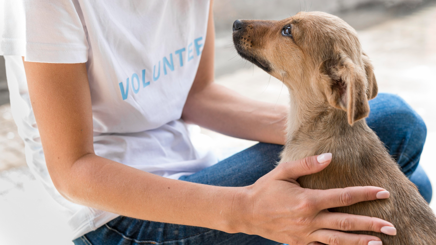 Animal Care Programme