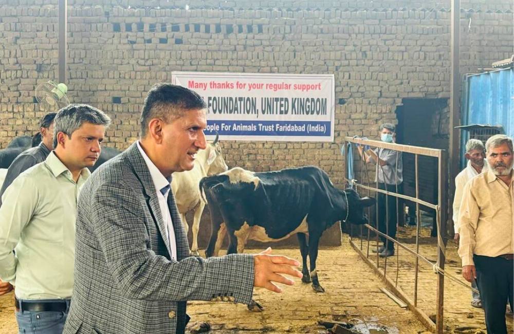 Animal care programme